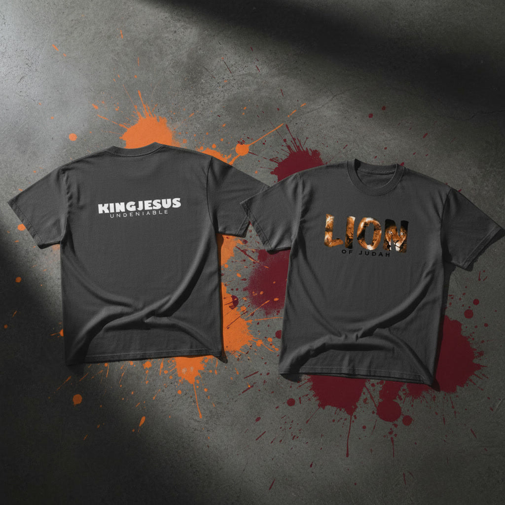 LION oversized faded tee — Revelation 5:5 Lion of Judah Christian streetwear