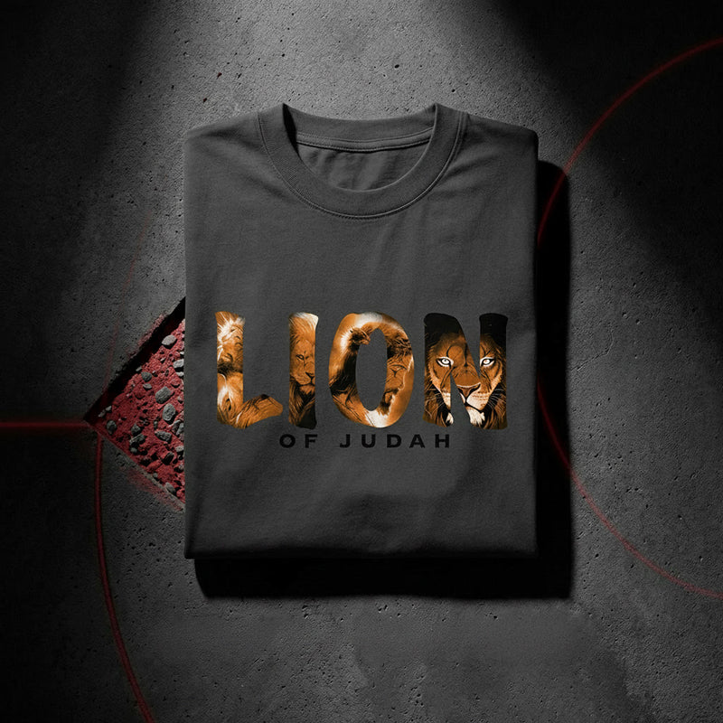 LION Oversized faded t-shirt