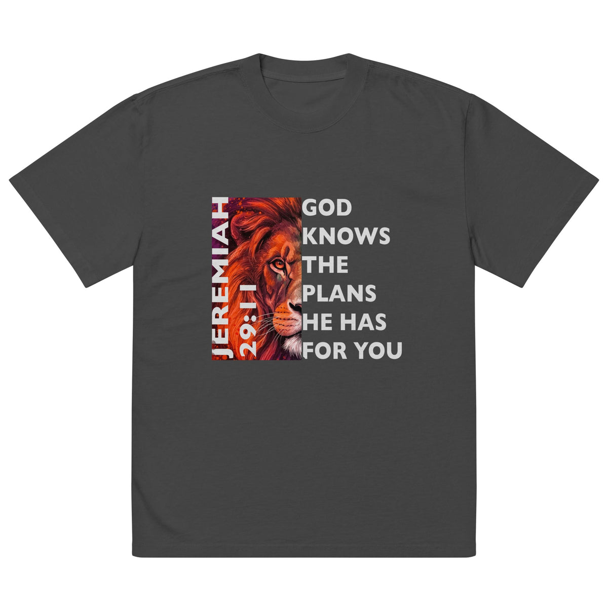JEREMIAH 29:11 Oversized Faded Tee