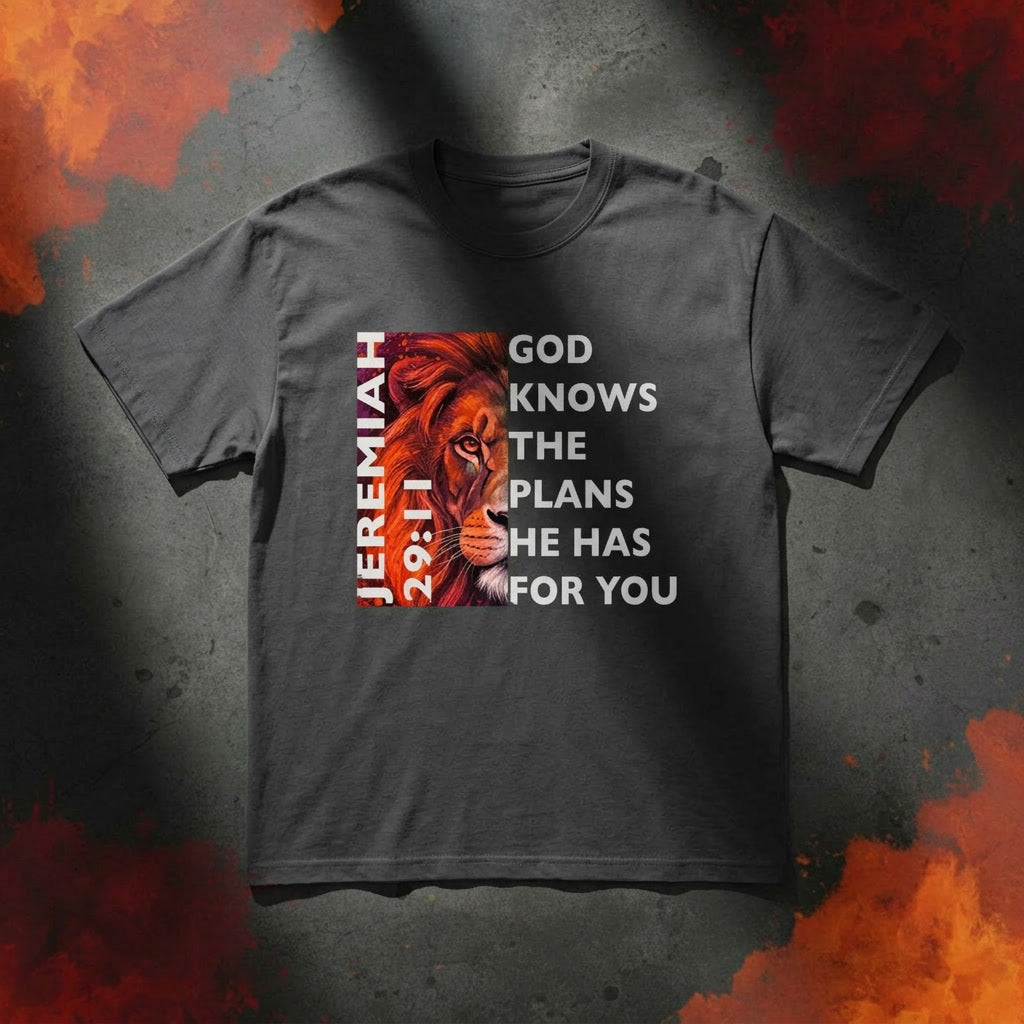 JEREMIAH 29:11 oversized faded tee — Christian streetwear flat lay KingJesus.shop