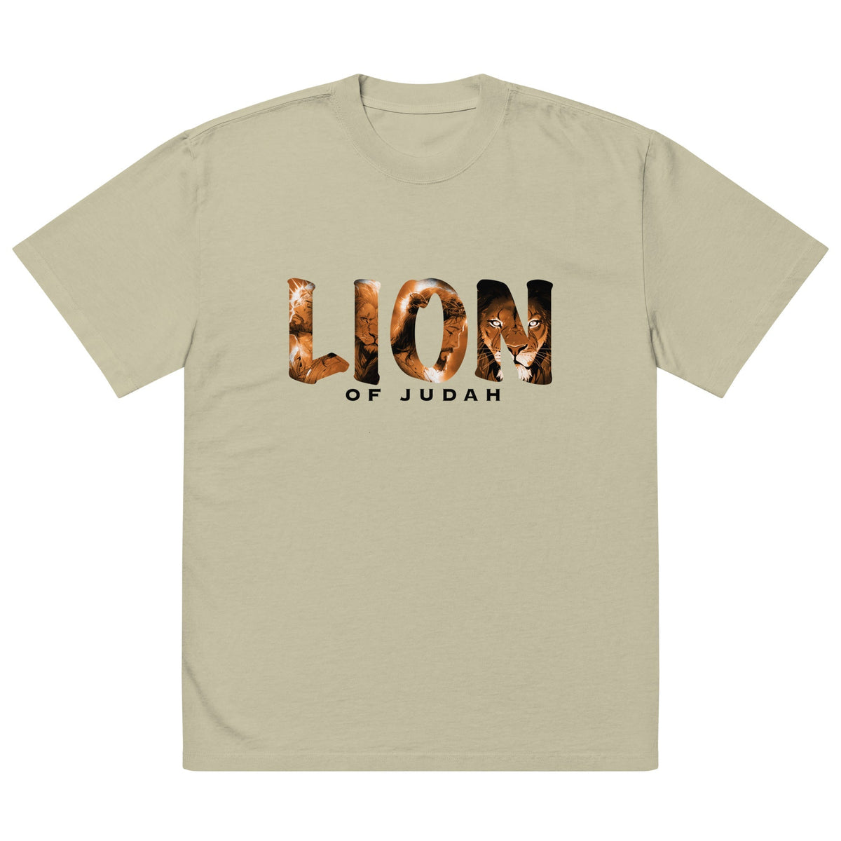LION oversized tee faded eucalyptus — back view