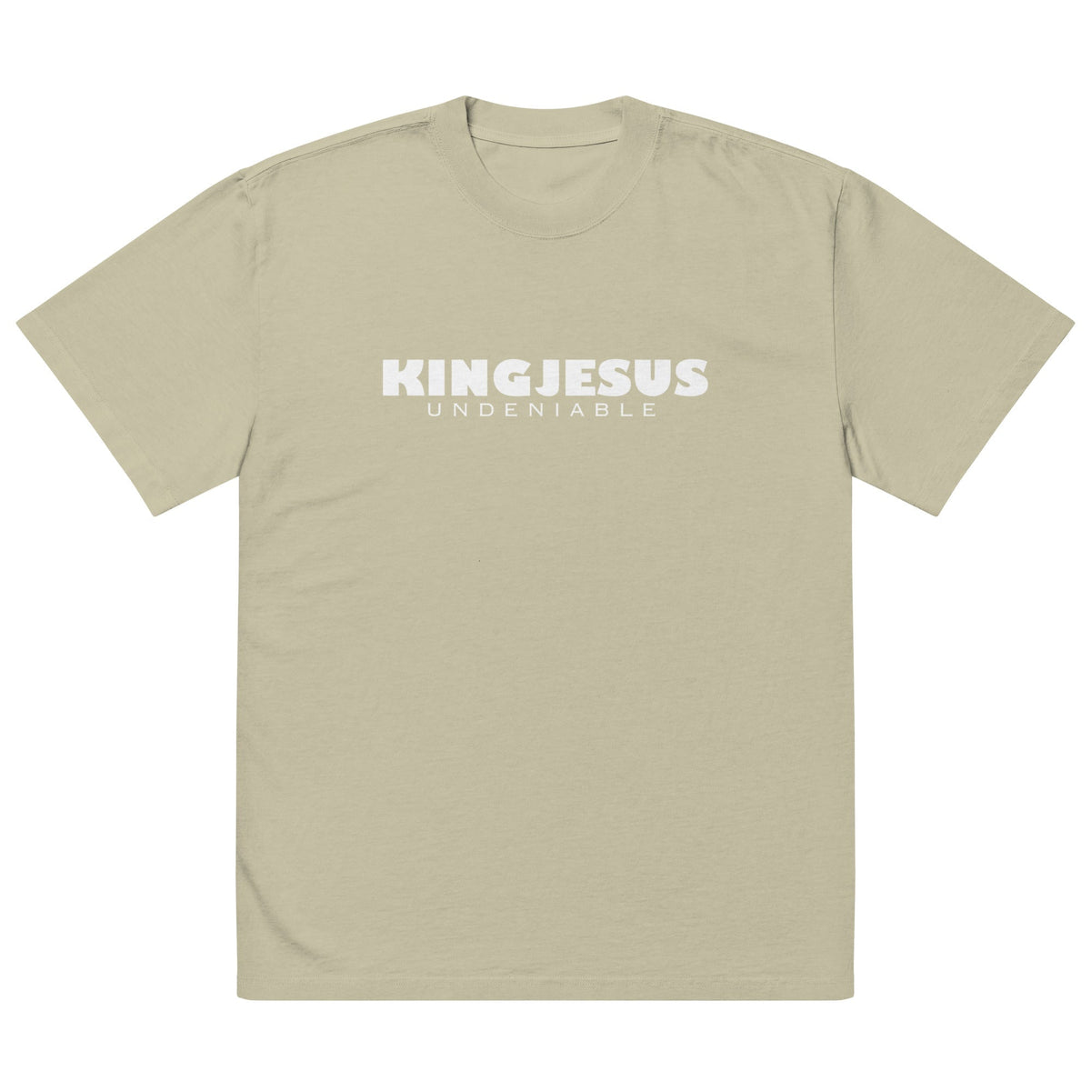 LION CROSS oversized tee faded eucalyptus — back view